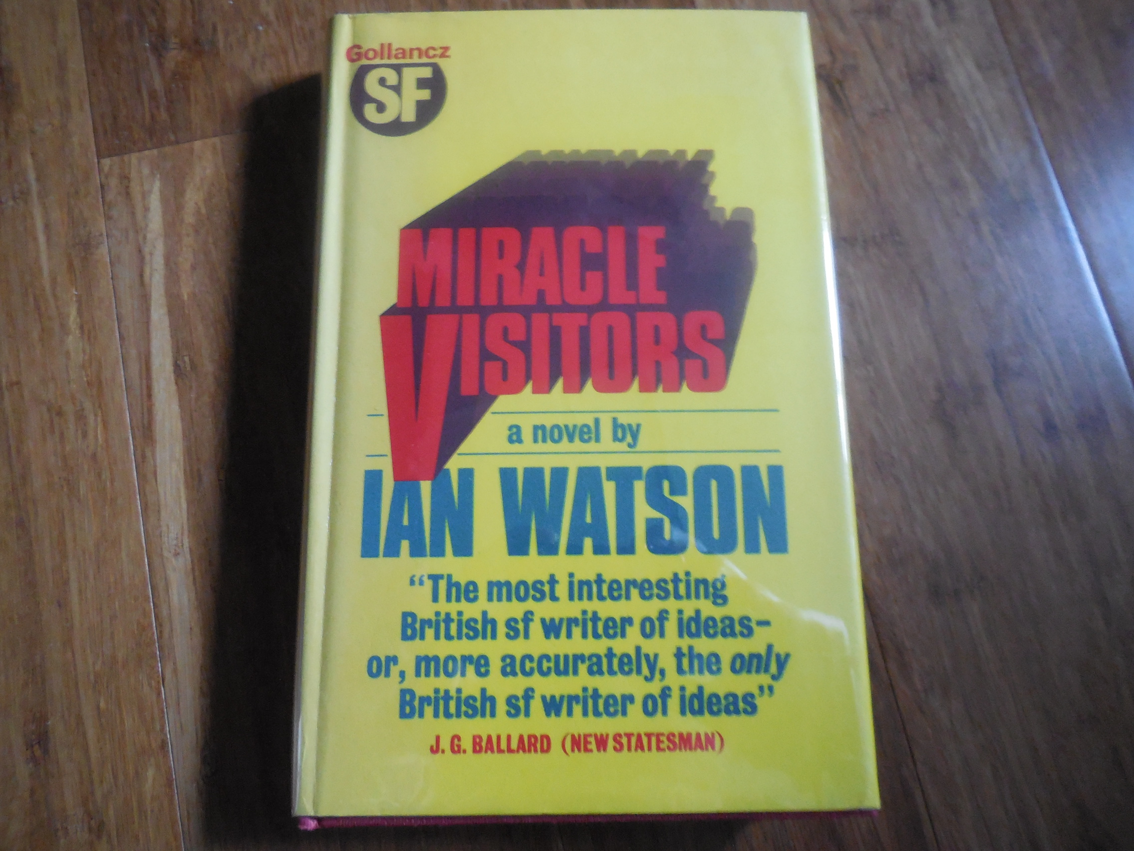 Image for Miracle Visitors