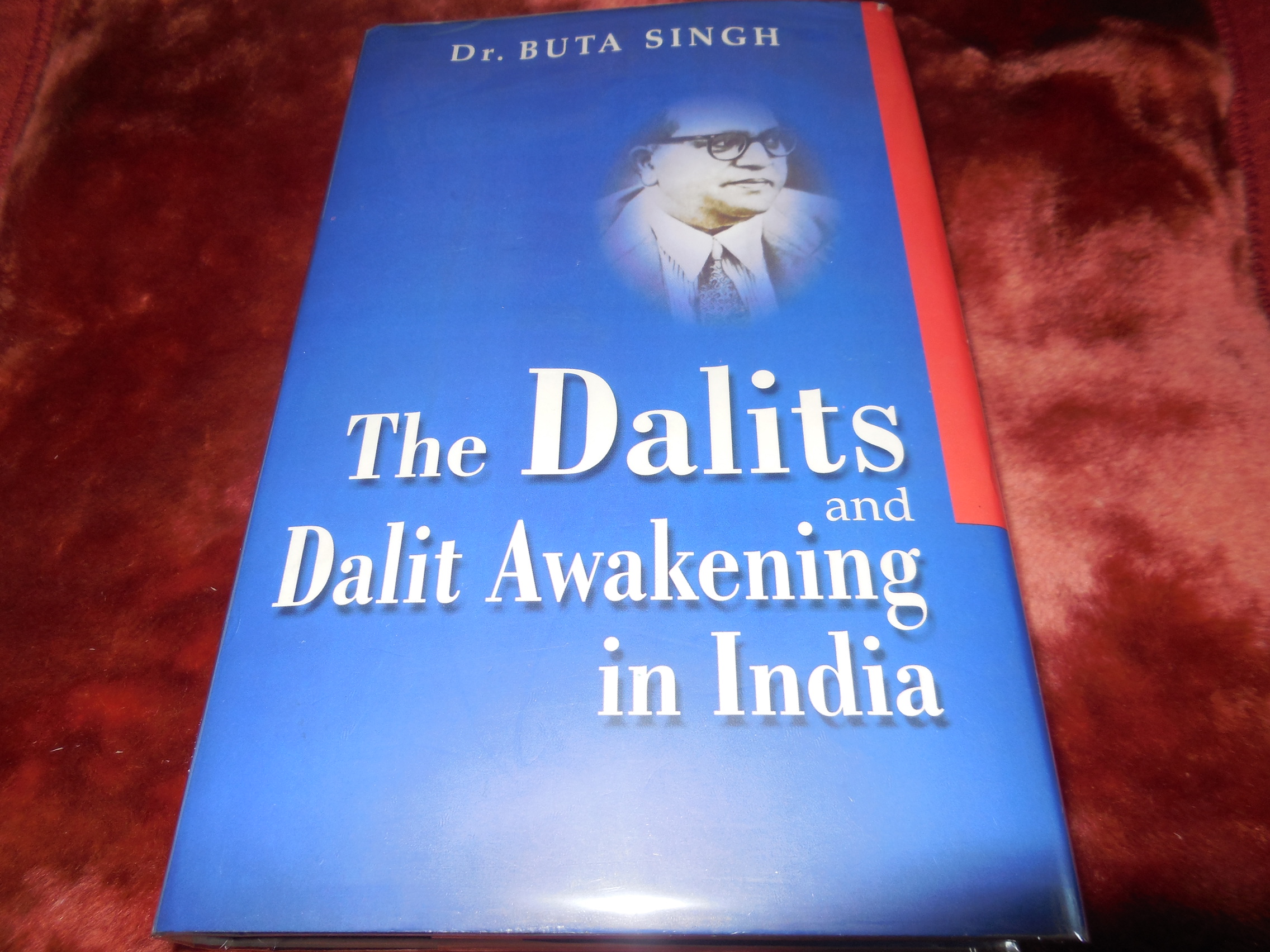 Image for The Dalits and Dalit Awakening in India