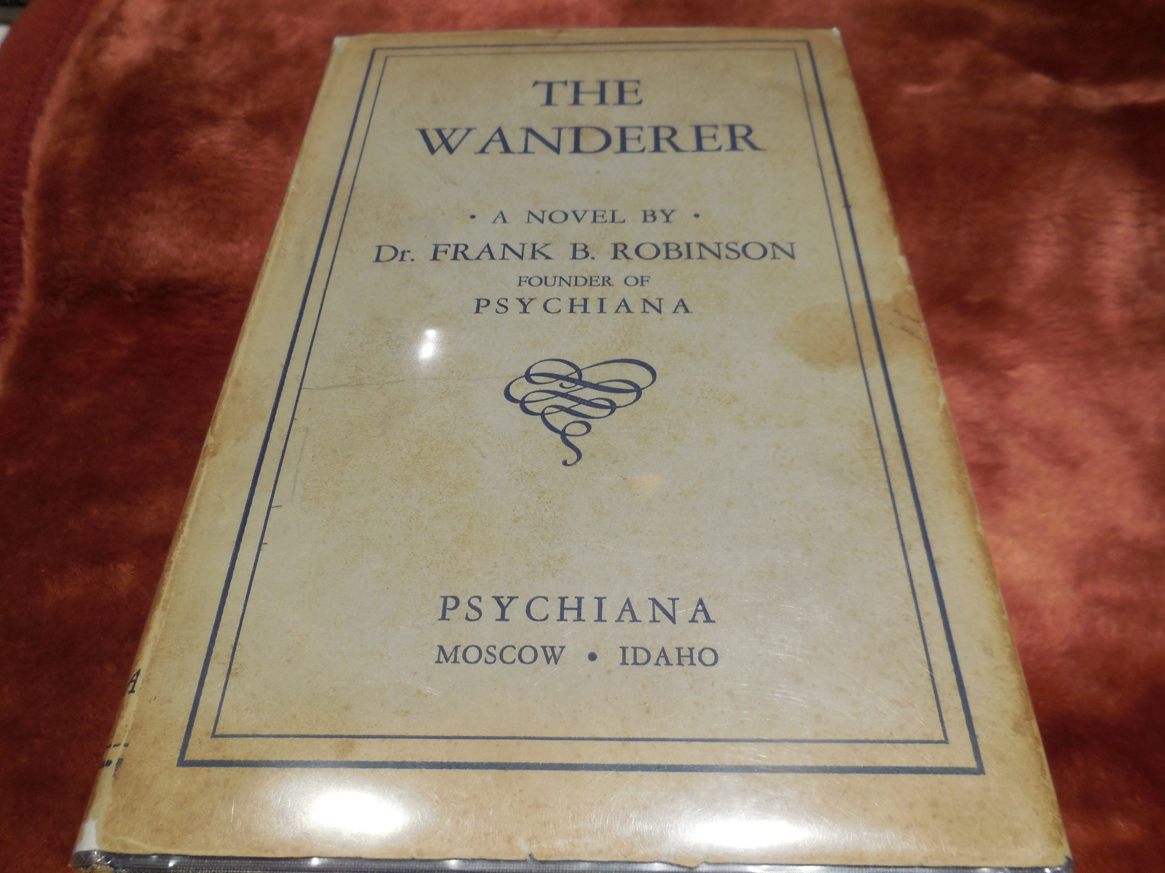 Image for The Wanderer - A Novel