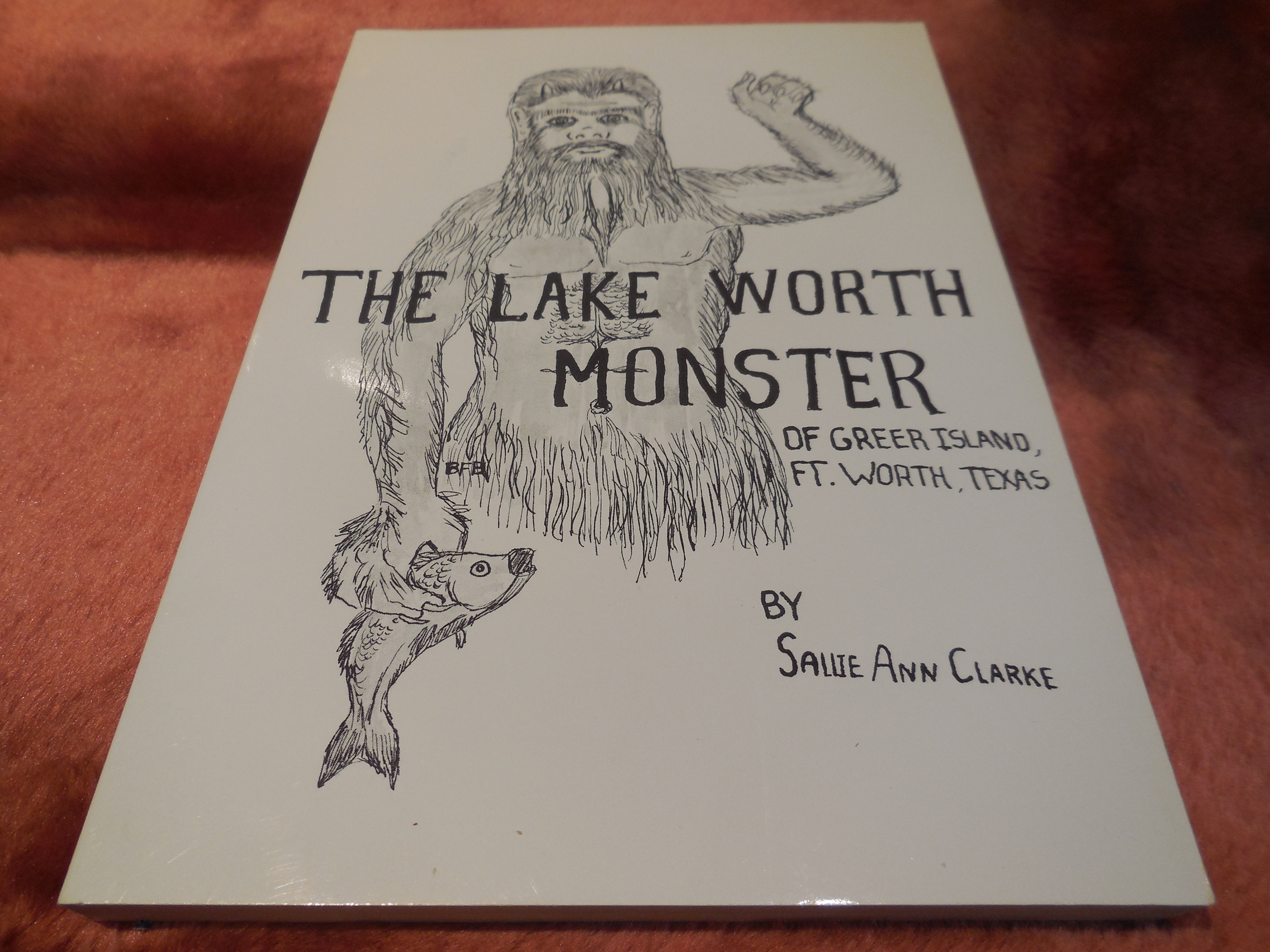 Image for The Lake Worth Monster of Greer Island