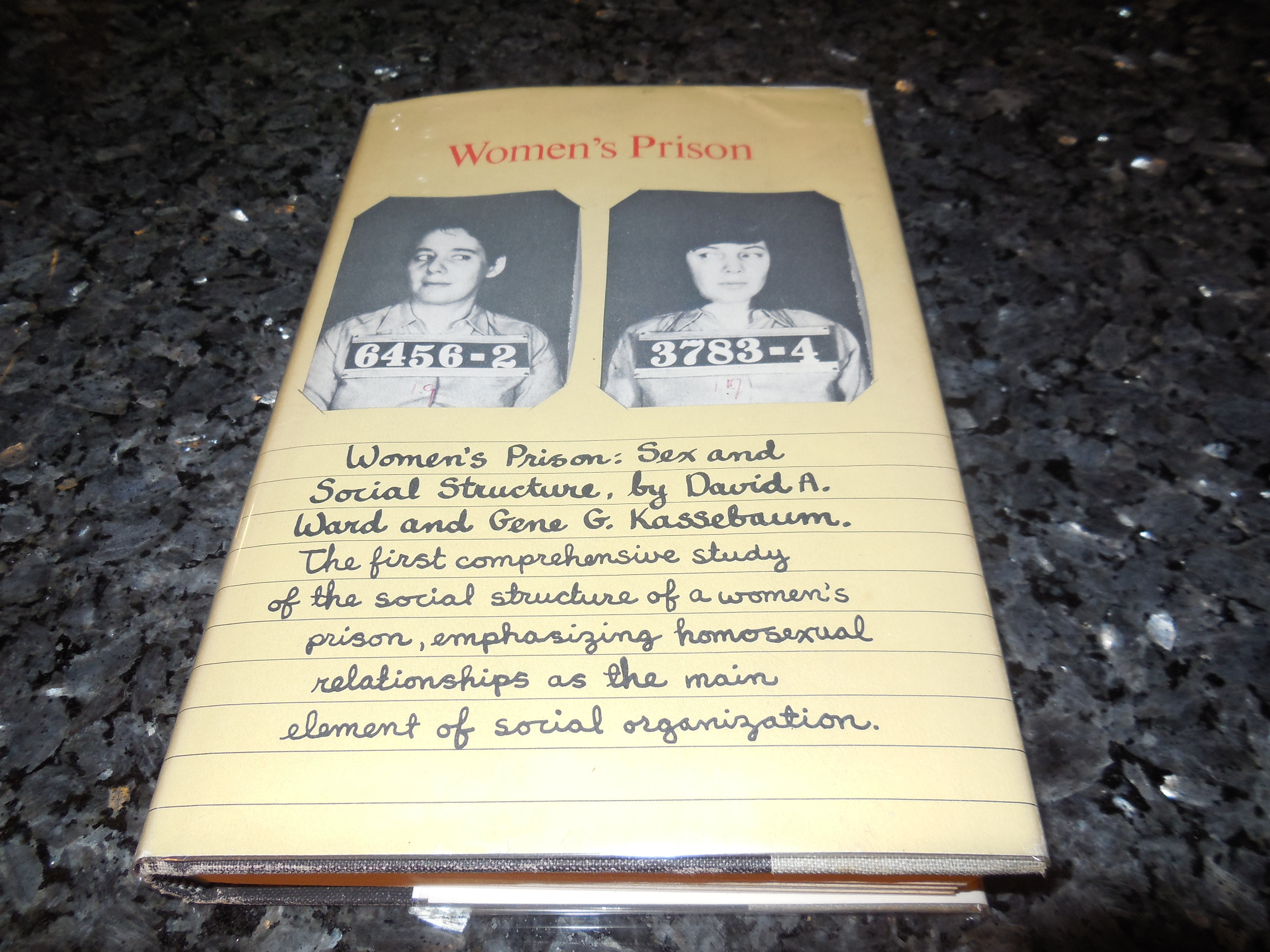 Image for Women's Prison: Sex and Social Structure