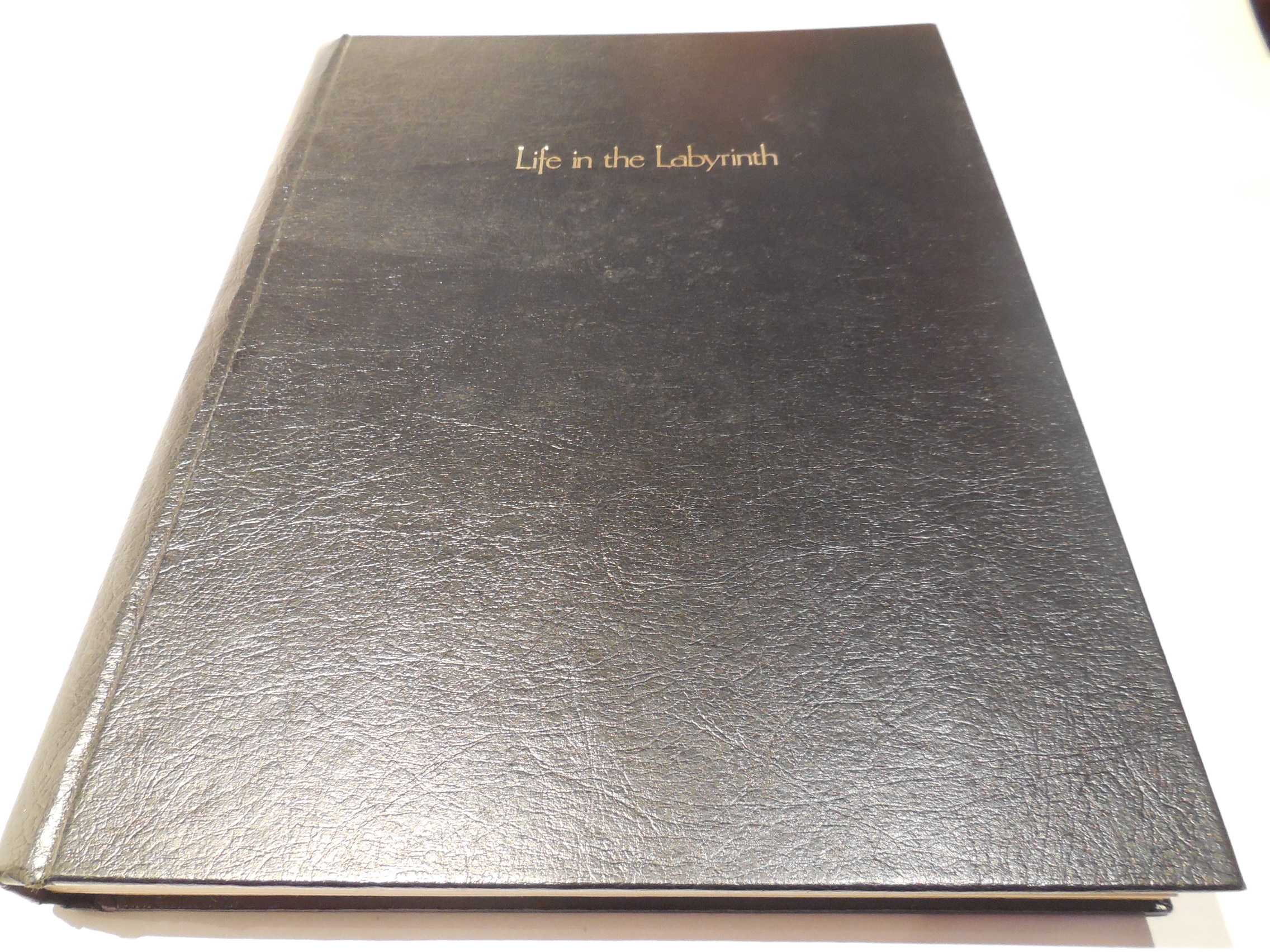 Image for Life in the Labyrinth