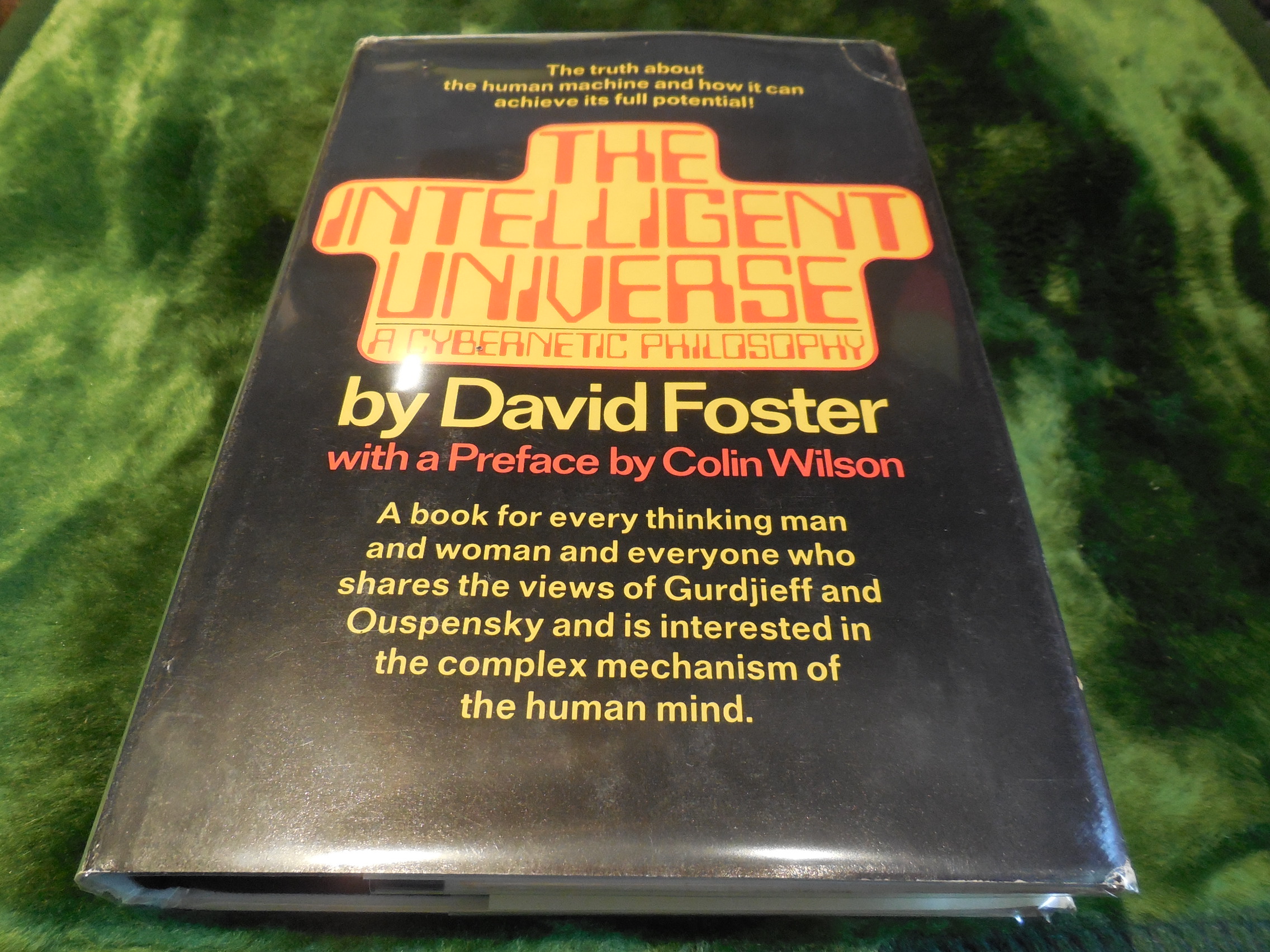 Image for The Intelligent Universe - A Cybernetic Philosophy