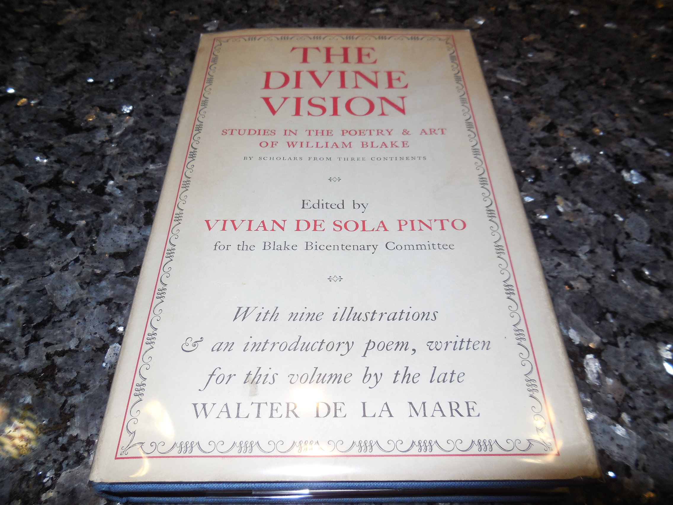 Image for The Divine Vision - Studies in the Poetry & Art of William Blake