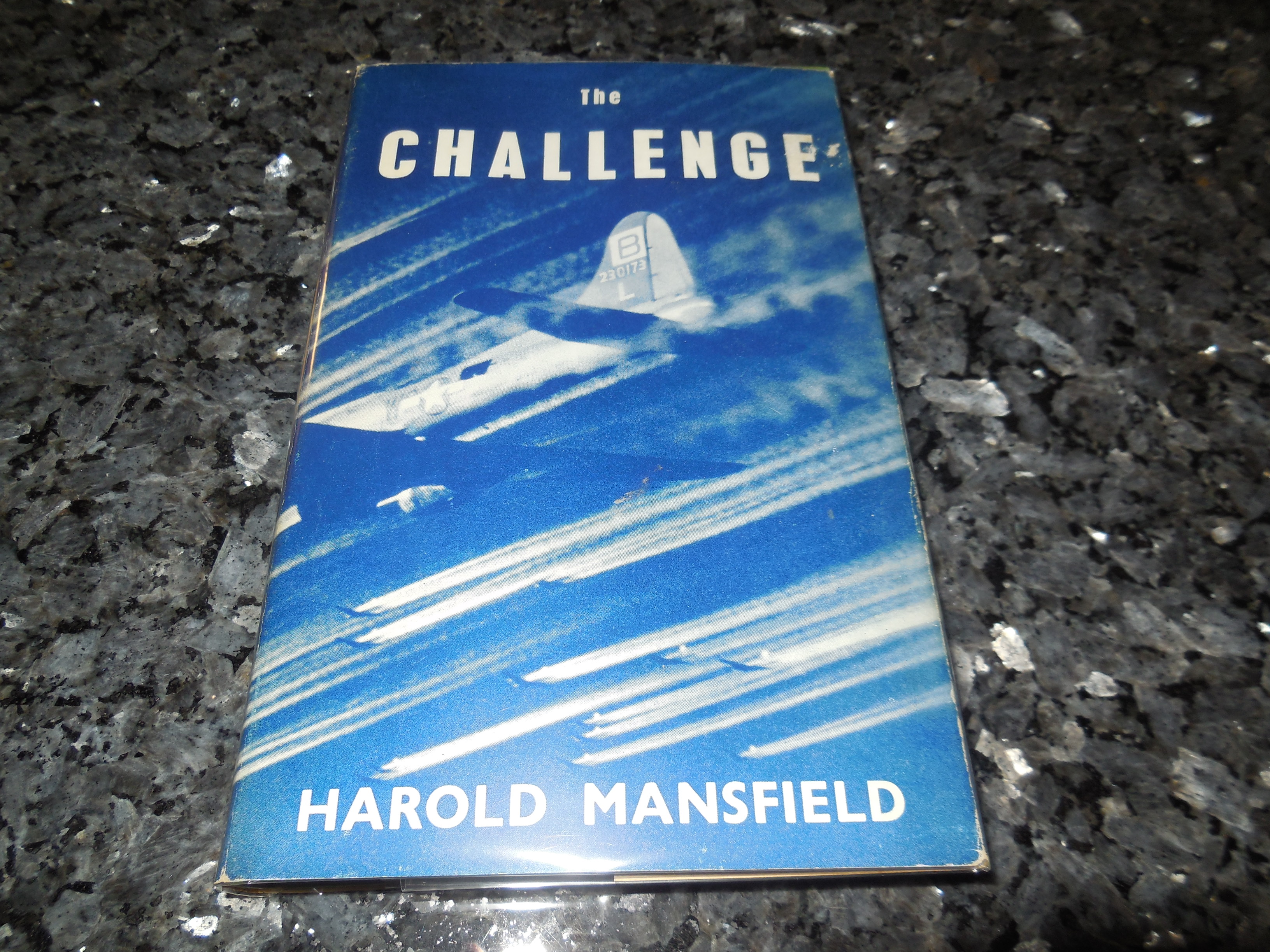 Image for The Challenge - The Tumultuous Story Behind America's Forts and Jets