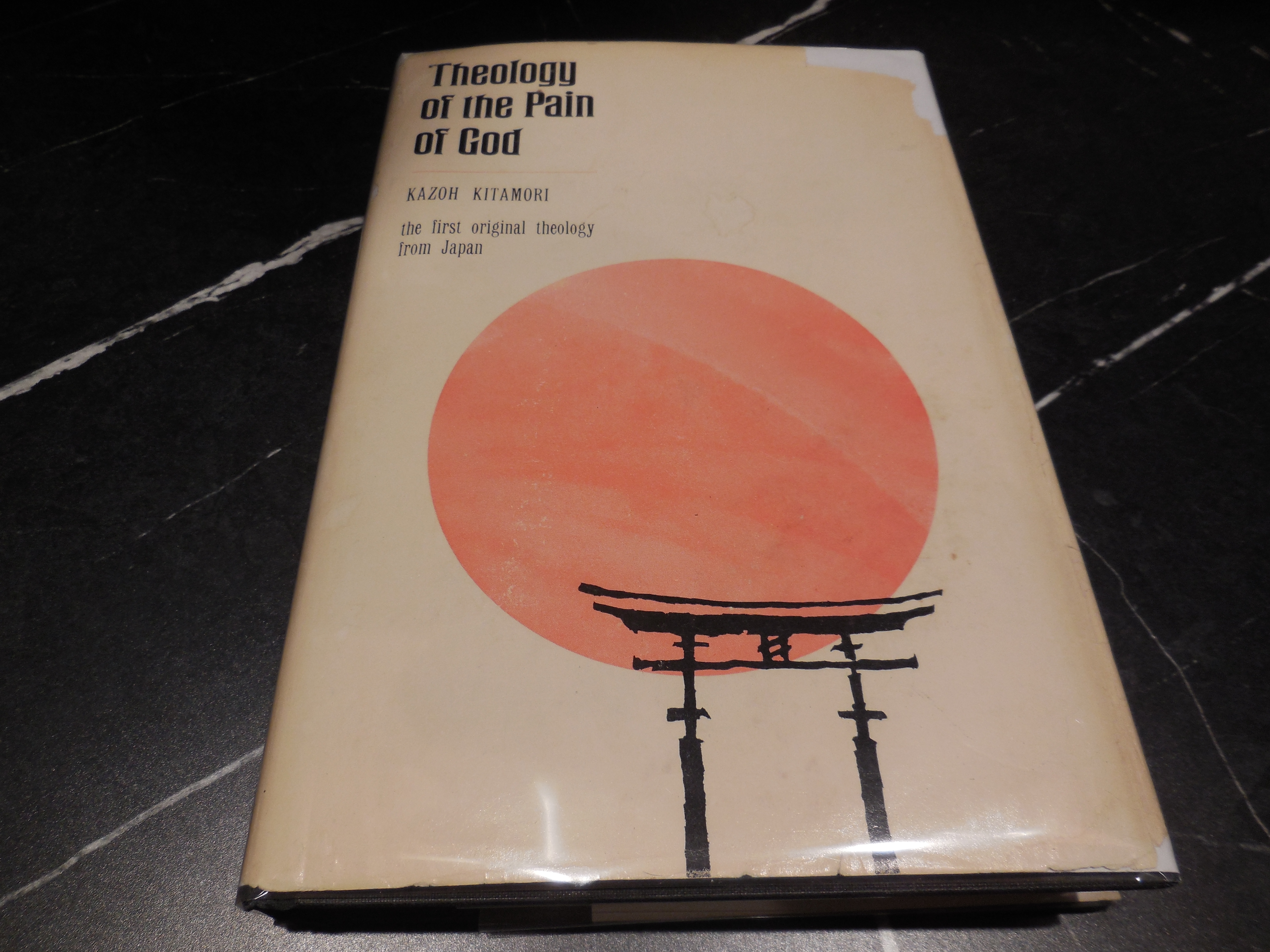 Theology of the Pain of God