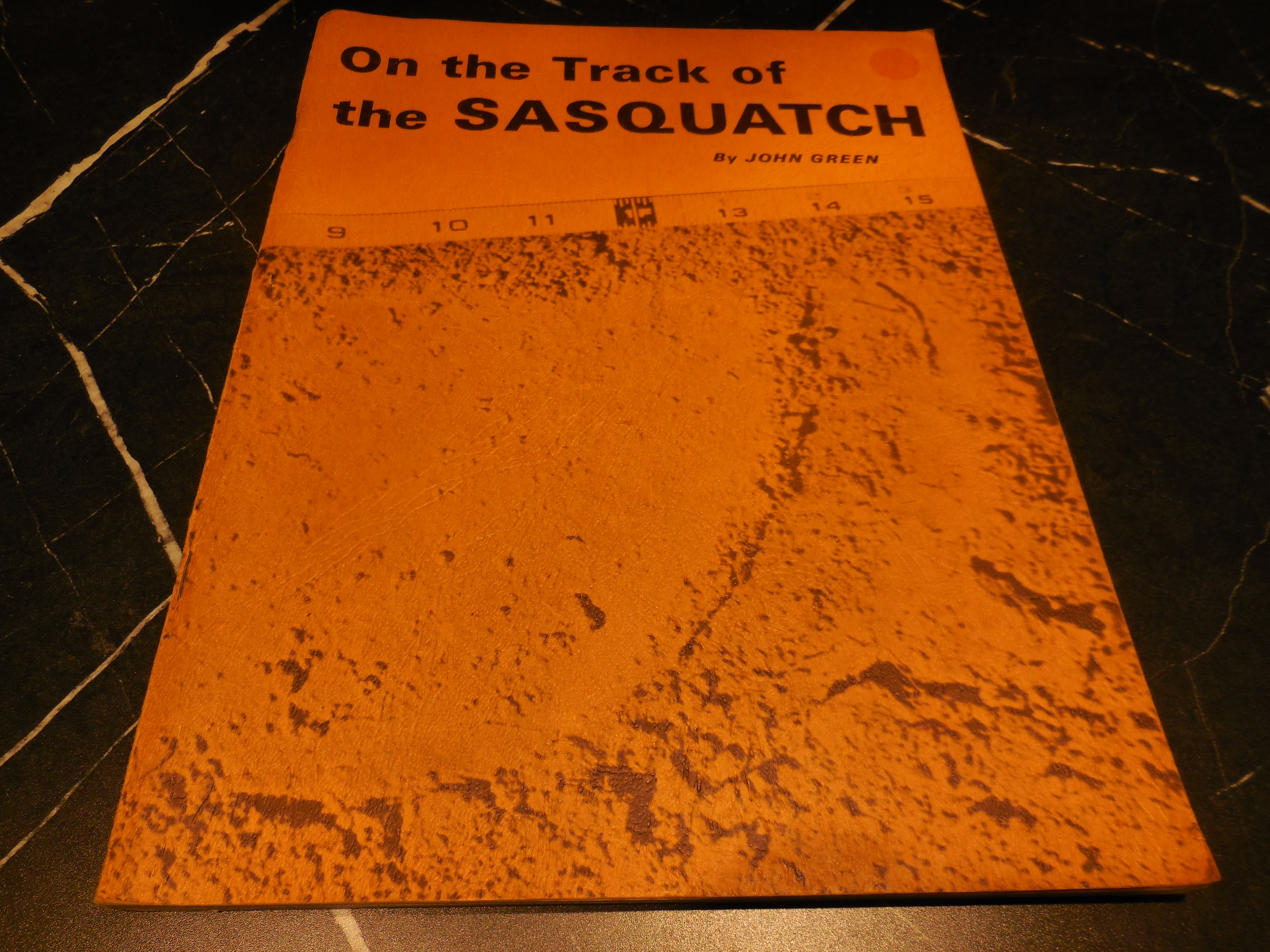 On the Track of the Sasquatch