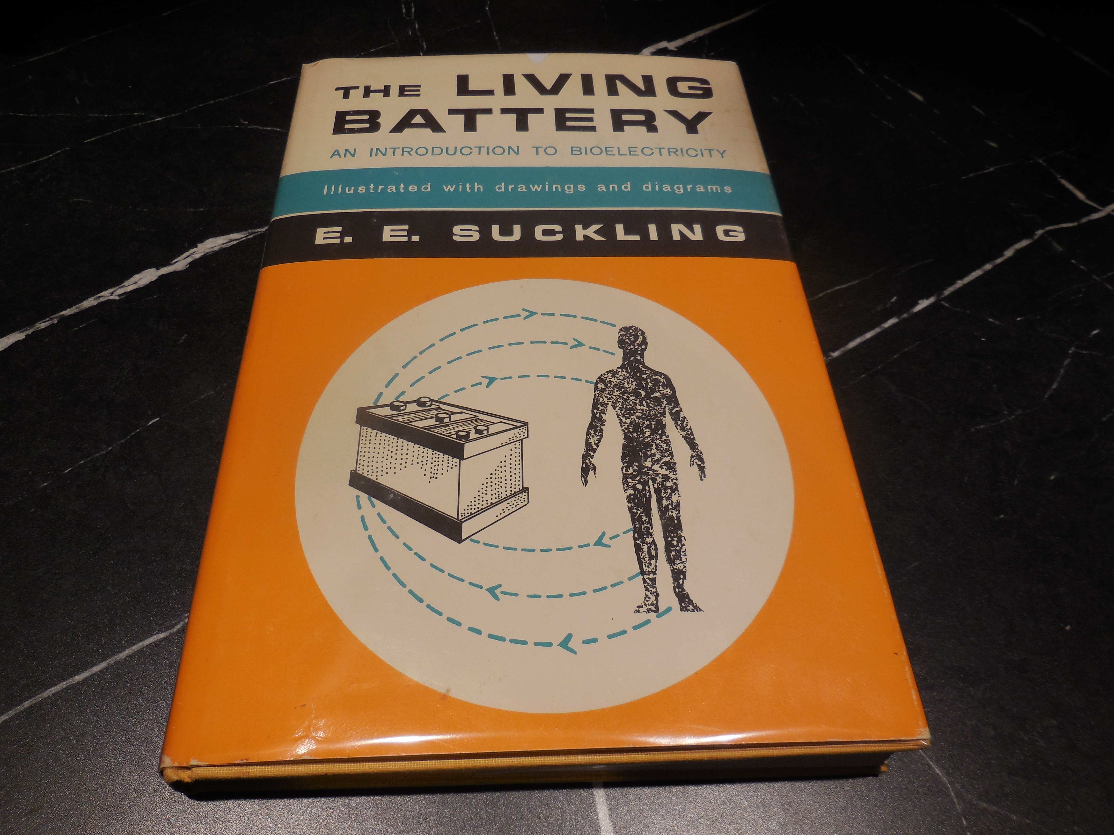 The Living Battery - An Introduction to Bioelectricity