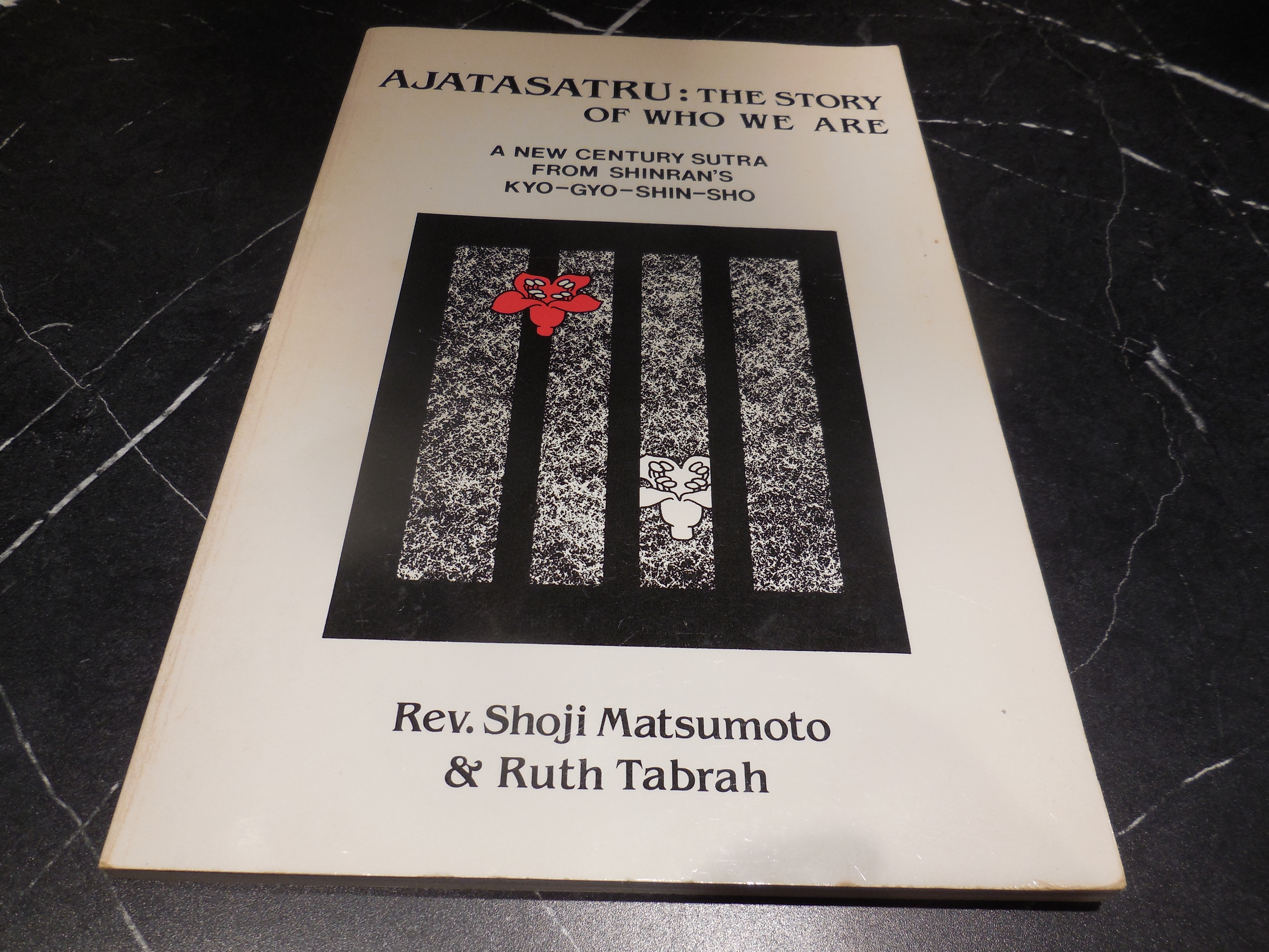 Ajatasatru: The Story of Who We Are : A New Century of Sutra from Shinrans Kyo-Gyo-Shin-Sho
