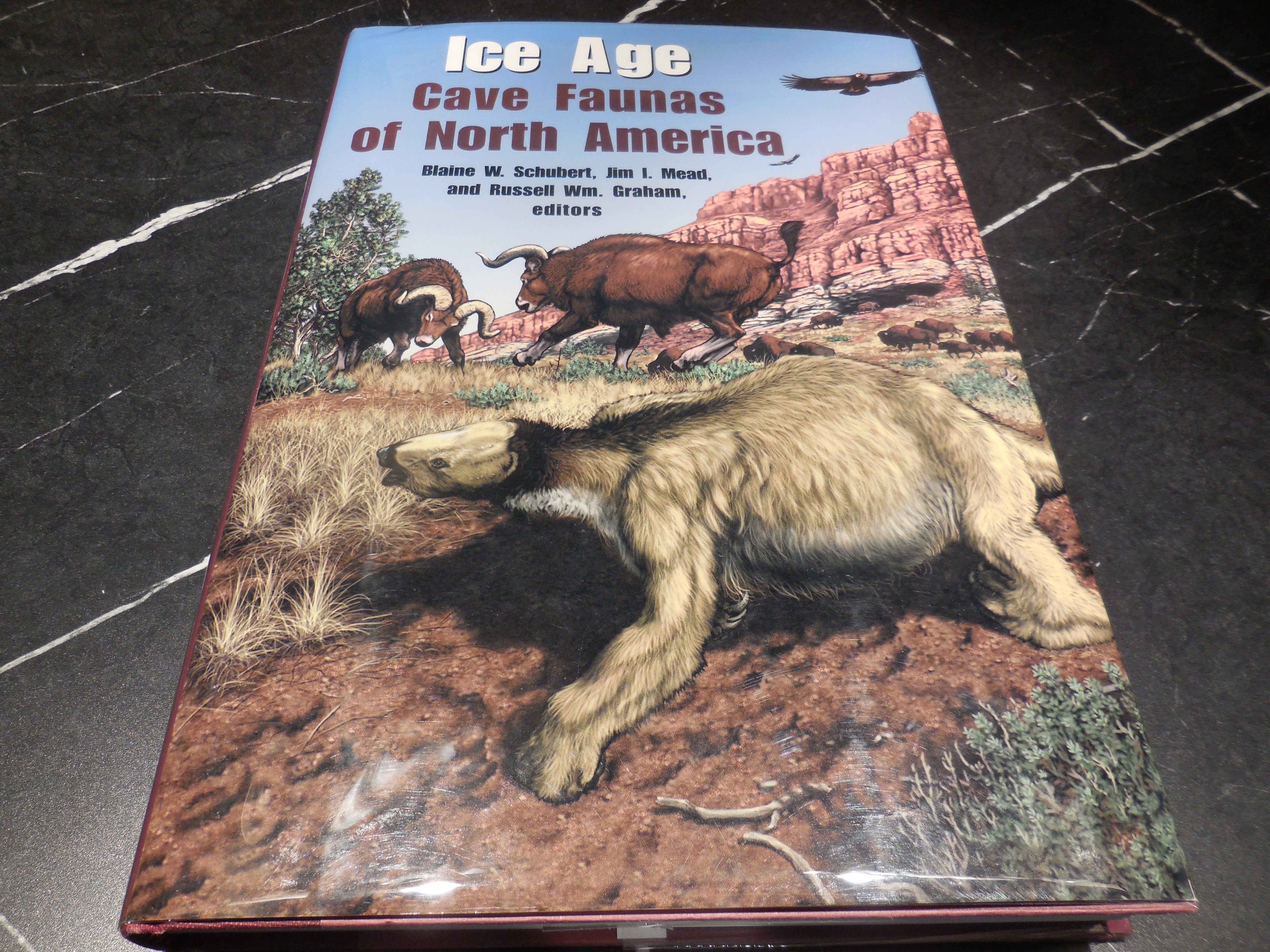 Ice Age Cave Faunas of North America (Life of the Past)