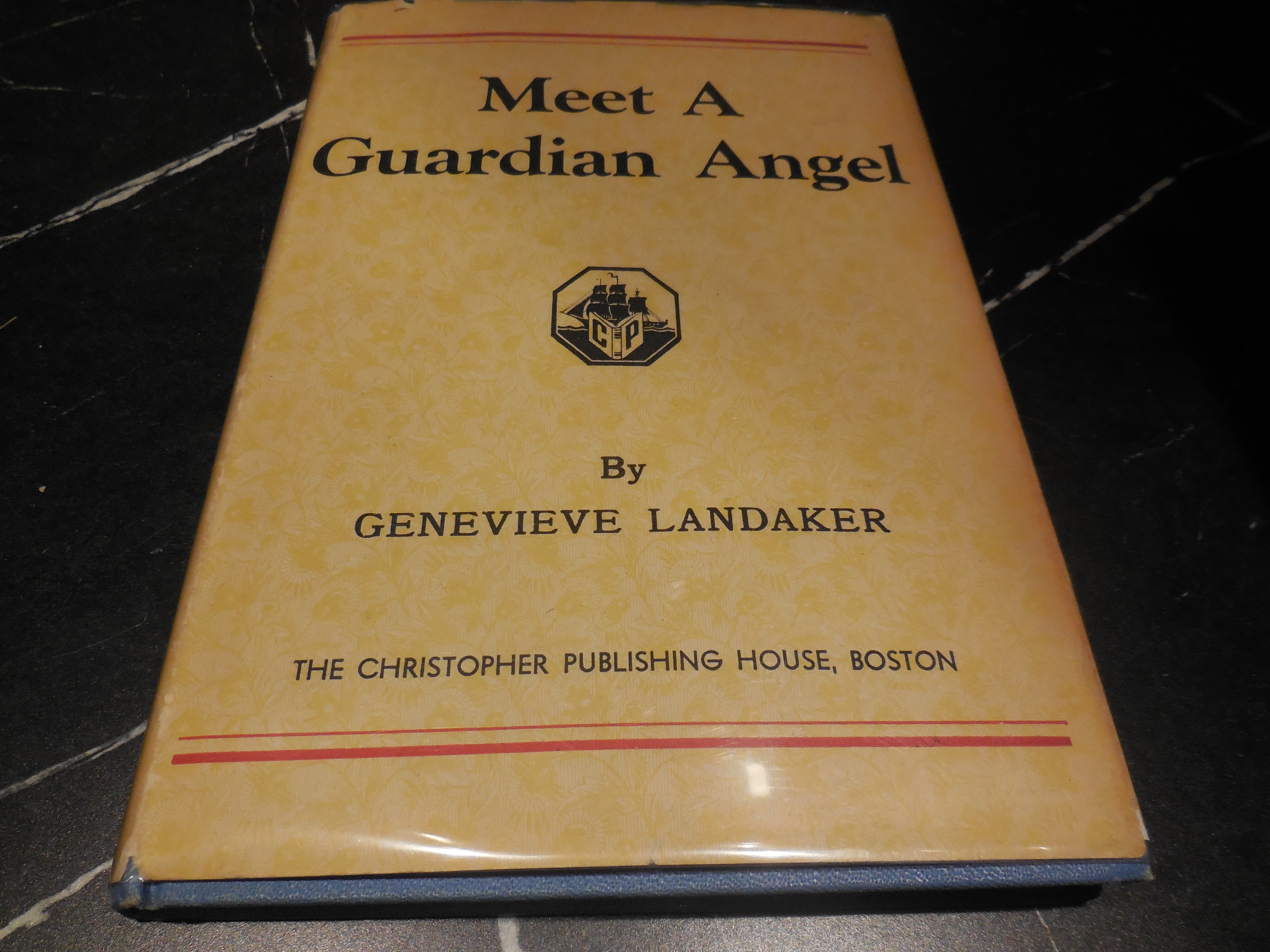 Meet a Guardian Angel