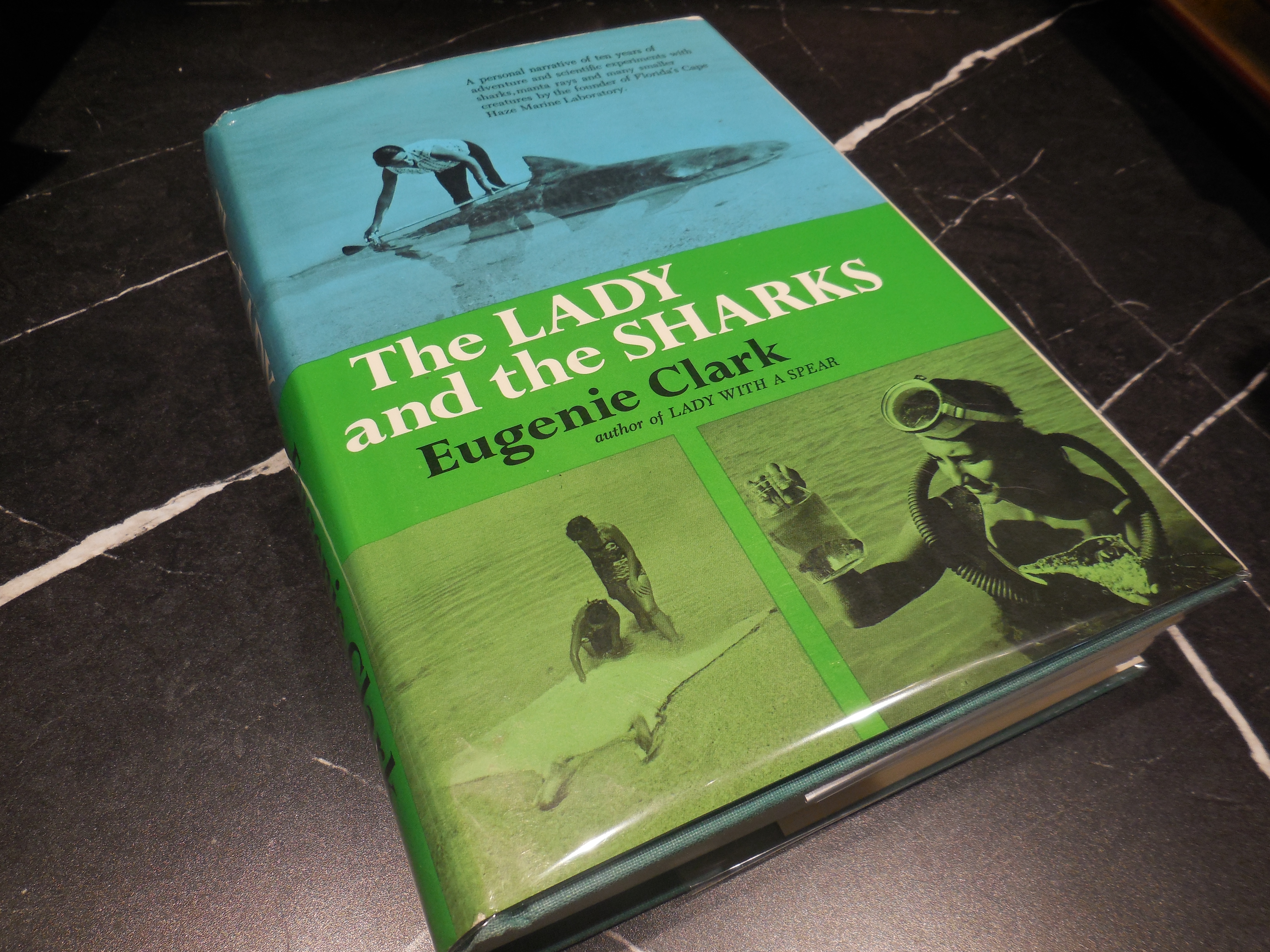 The Lady and the Sharks