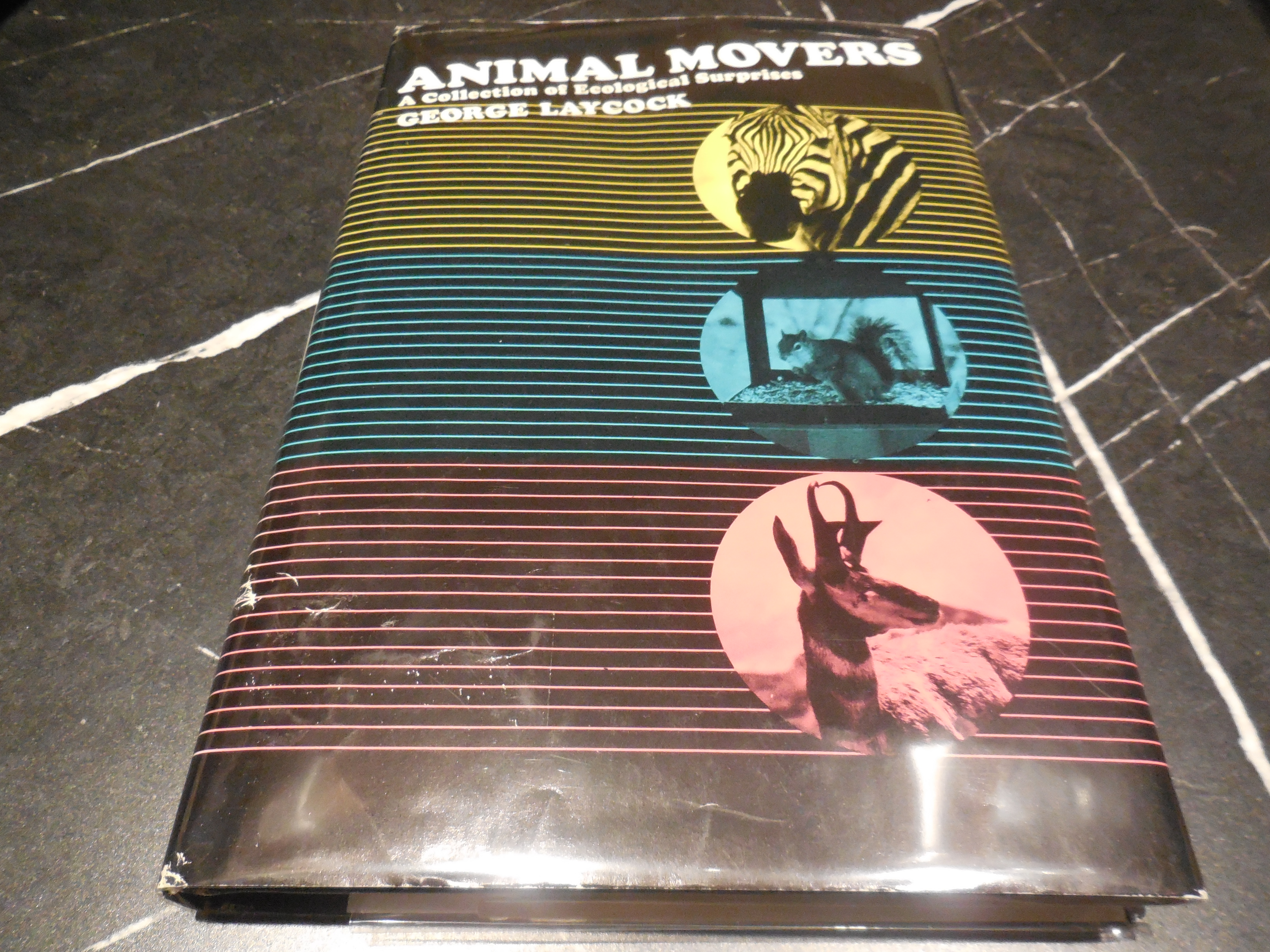 Animal Movers - A Collection of Ecological Surprises