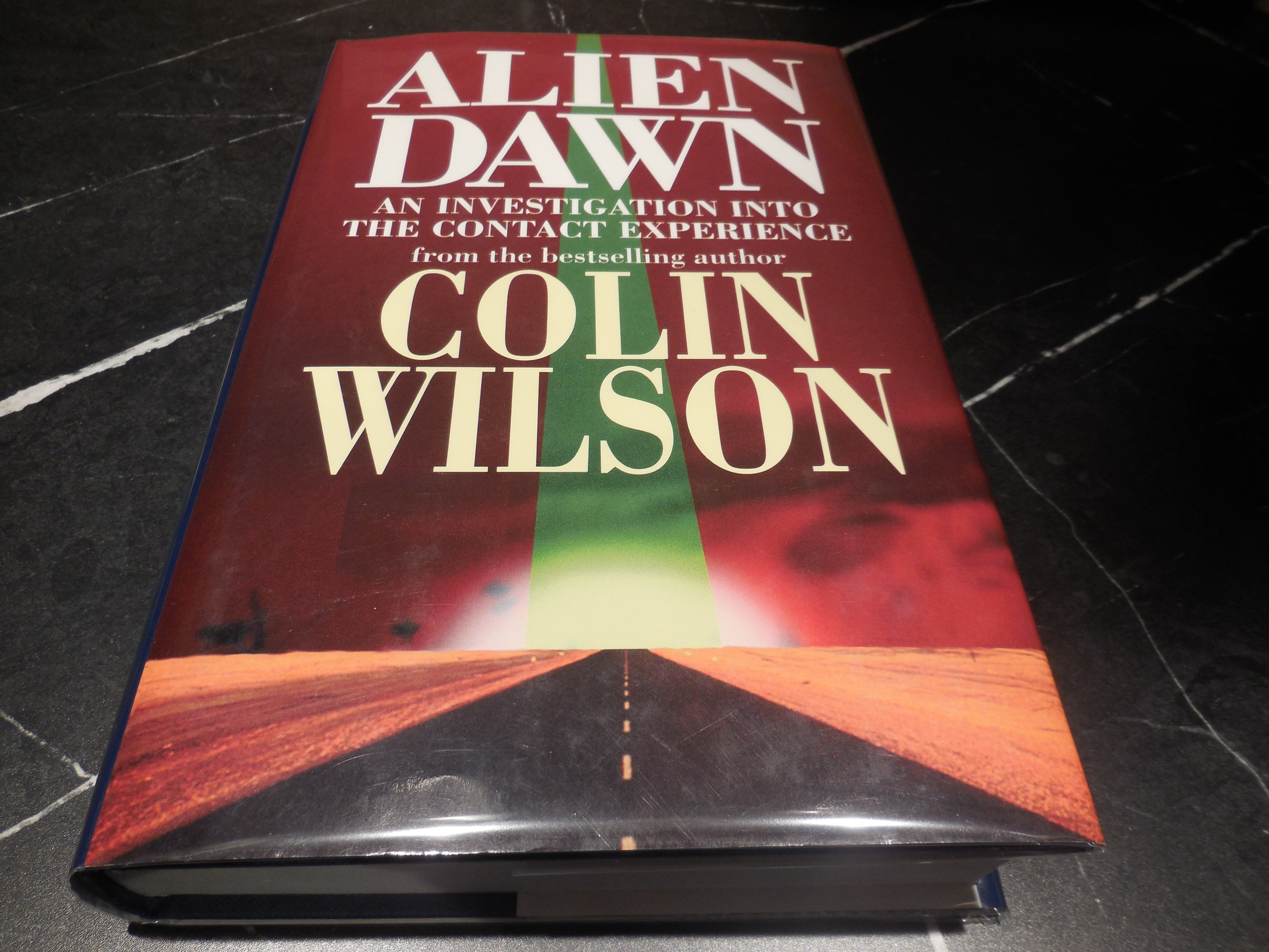 ALIEN DAWN: AN INVESTIGATION INTO THE CONTACT EXPERIENCE