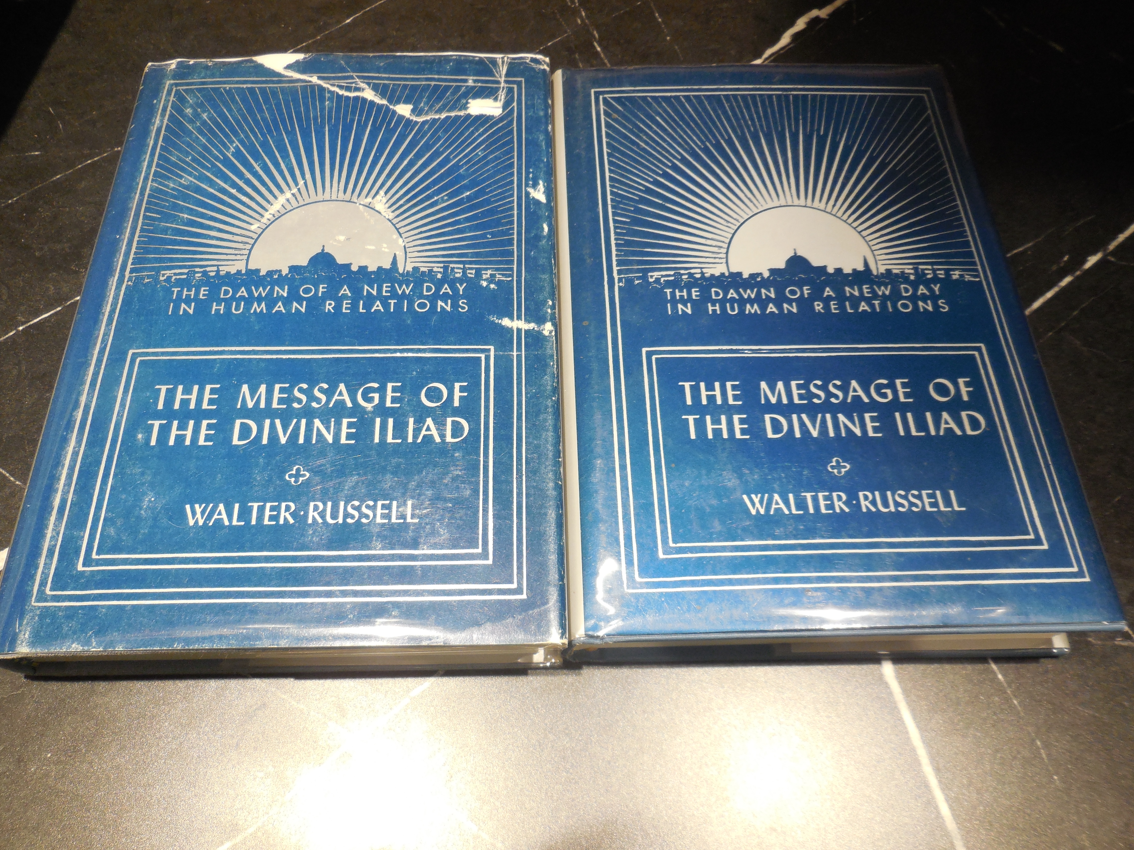 The Message of the Divine Iliad (2 Volume Set)