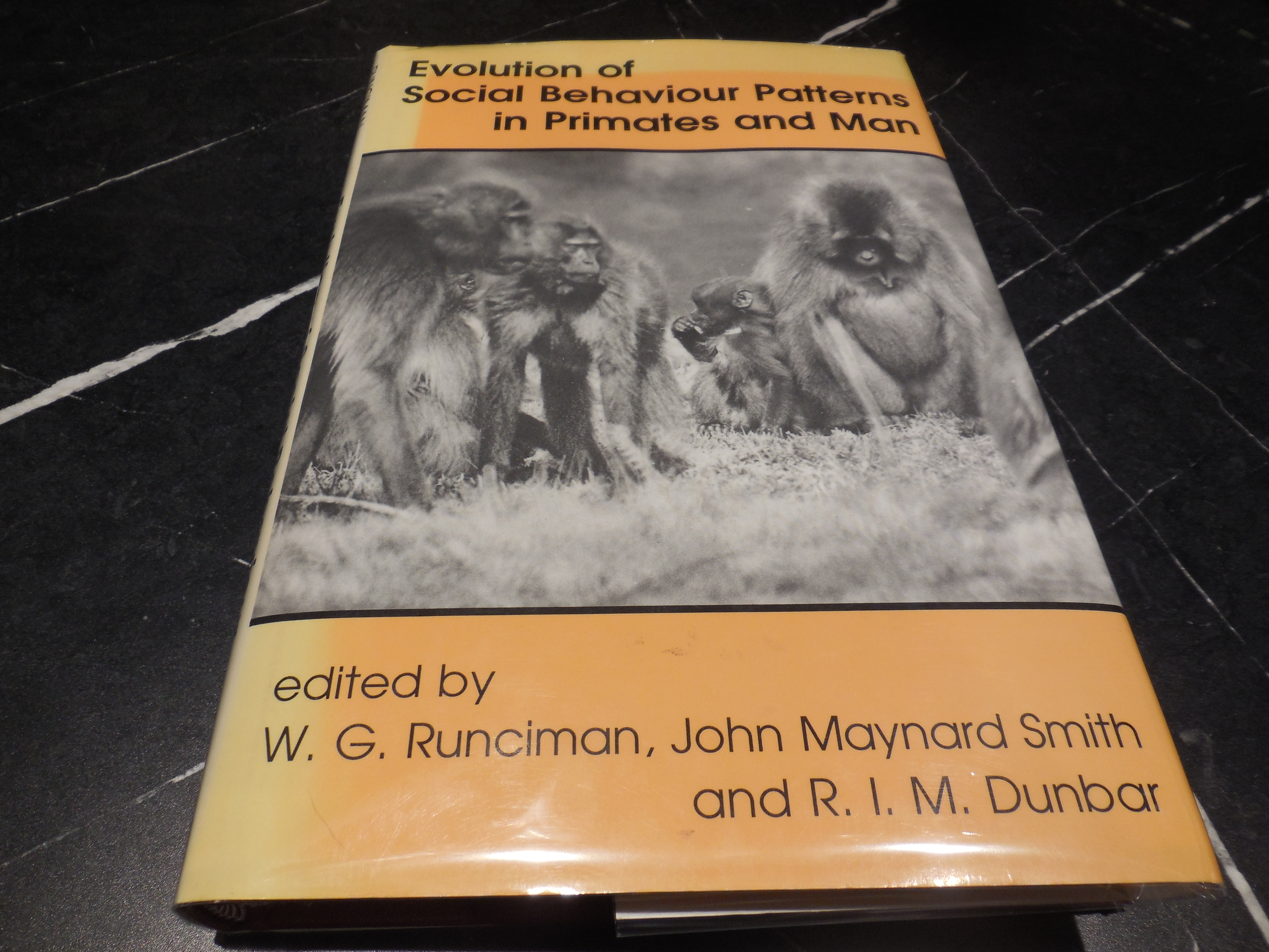 Evolution of Social Behaviour Patterns in Primates and Man: A Joint Discussion Meeting of the Royal Society and the British Academy: 88 (Proceedings of the British Academy)