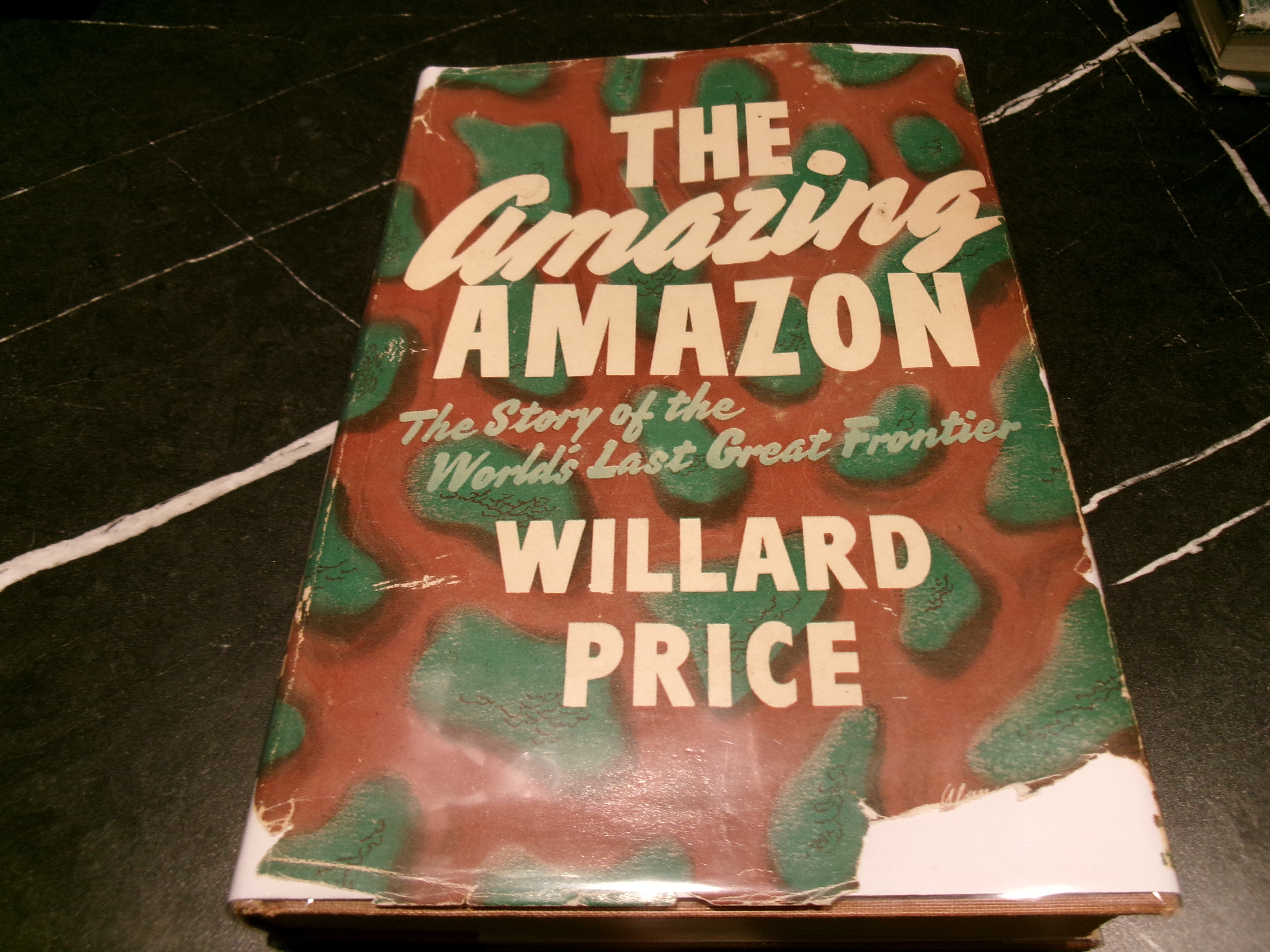 The Amazing Amazon