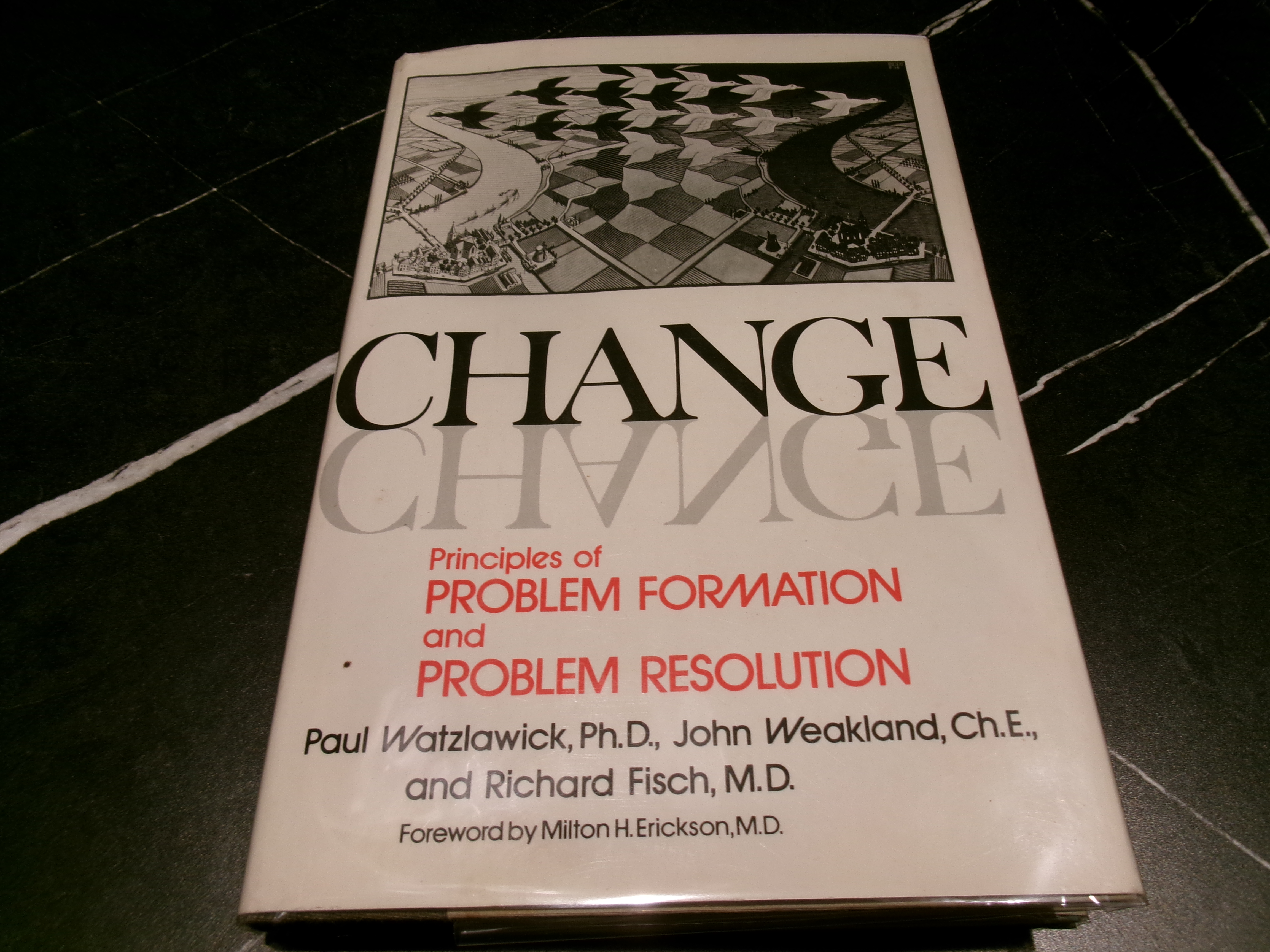 Change: Principles of Problem Formation and Problem Resolution