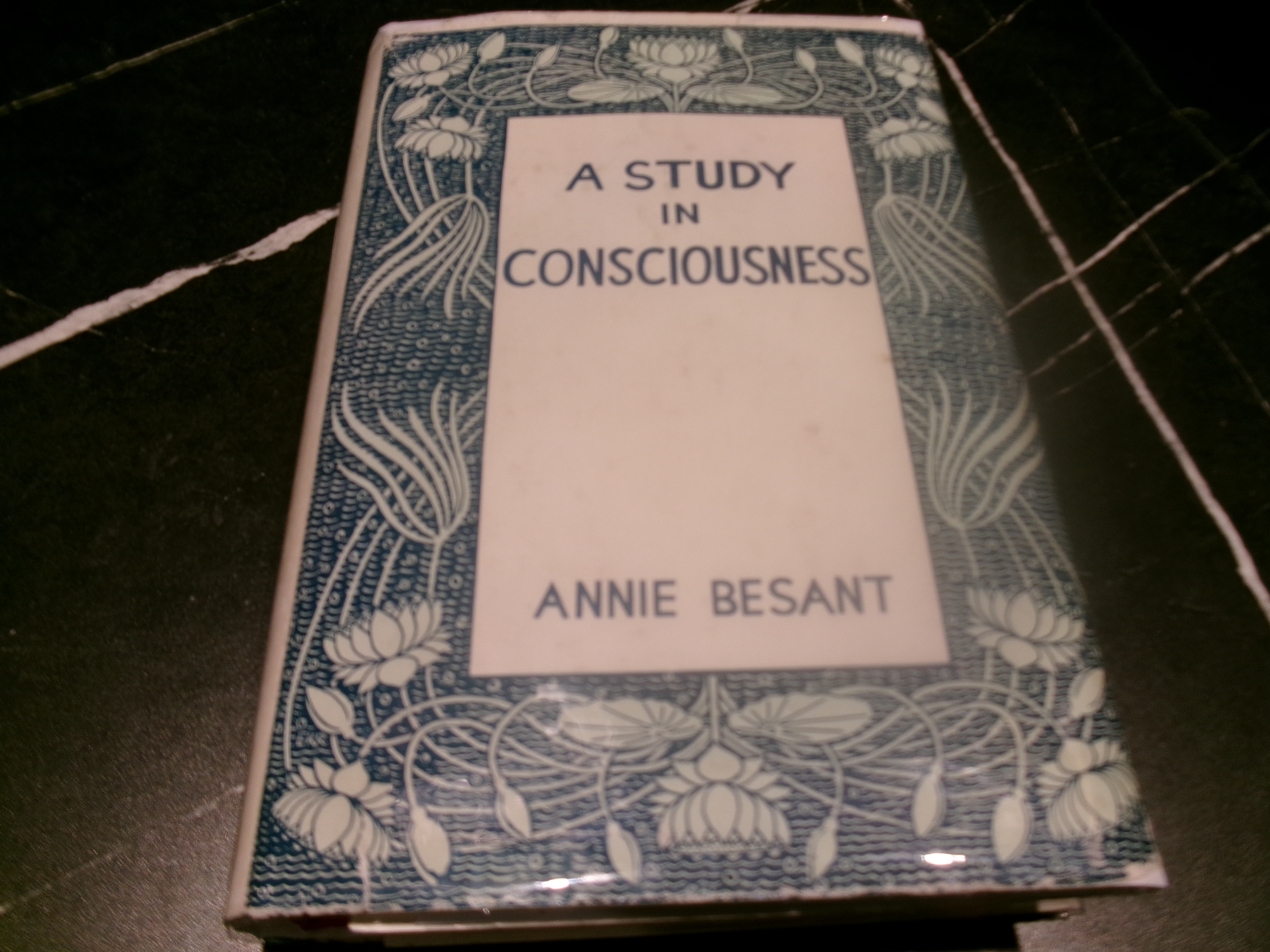 A Study in Consciousness